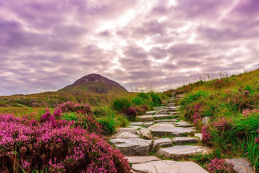 Spring into Summer in Northern Ireland: Fresh Scents & Sunny Days to Brighten Your Home